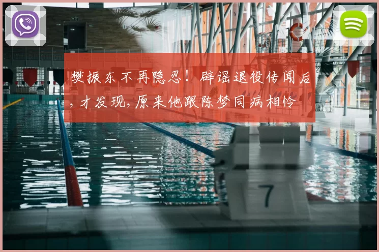 樊振东不再隐忍！辟谣退役传闻后,才发现,原来他跟陈梦同病相怜