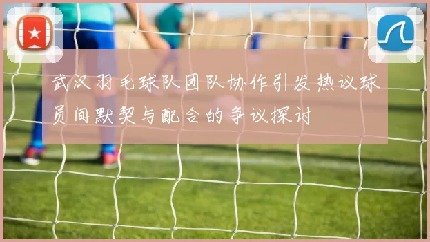 武汉羽毛球队团队协作引发热议球员间默契与配合的争议探讨