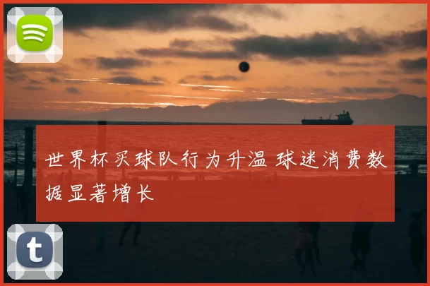 世界杯买球队行为升温 球迷消费数据显著增长