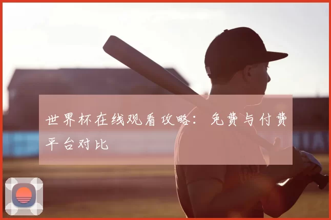 世界杯在线观看攻略:免费与付费平台对比
