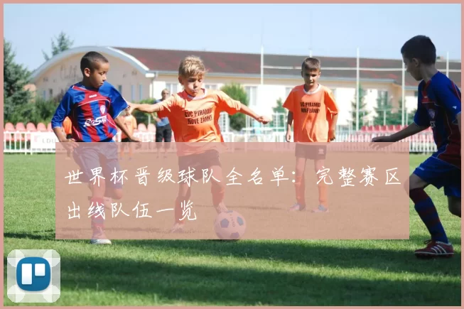 世界杯晋级球队全名单：完整赛区出线队伍一览