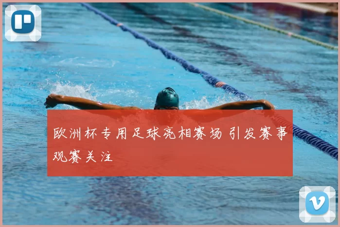 欧洲杯专用足球亮相赛场 引发赛事观赛关注