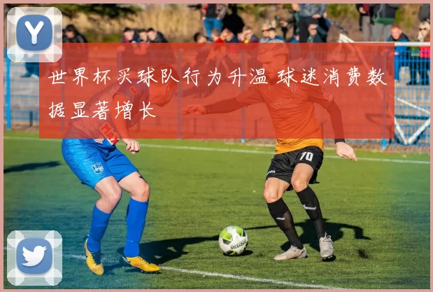 世界杯买球队行为升温 球迷消费数据显著增长